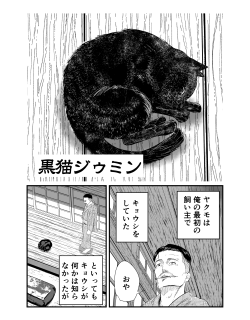 Black Cat Jiumin