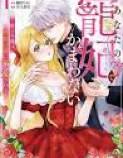Anata no Chouhi de Kamawanai - Kishi Reijou wa Kyuuketsu Koushaku ni Dekiaisareru
