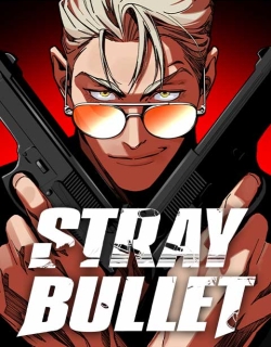 Stray Bullet