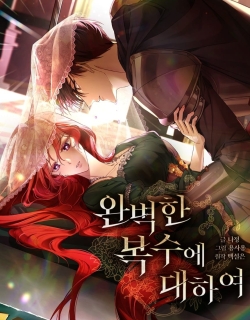 About Perfect Revenge