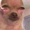 KIKO_27