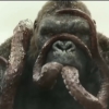 True Monster